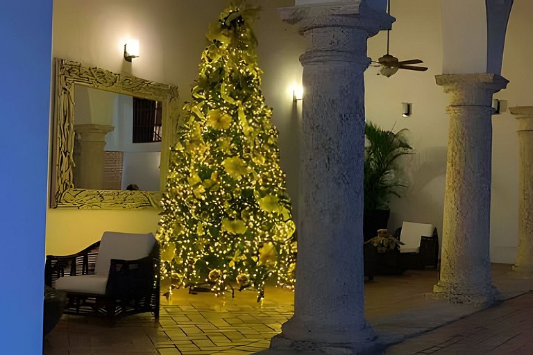 212 Cartagena Walled City Magical Apt
